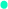 rectangle33421650