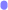 rectangle33521664